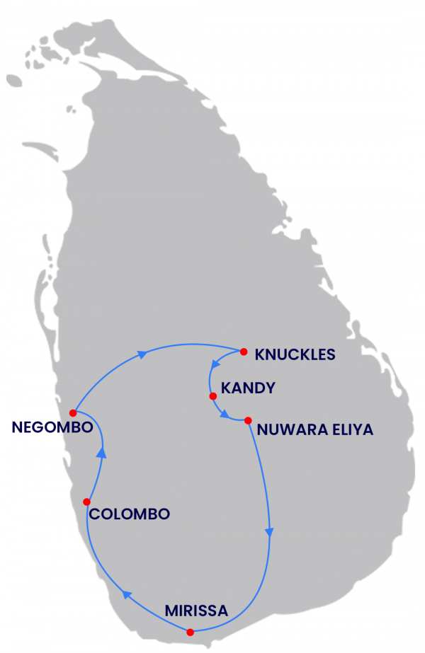 Package Route Map